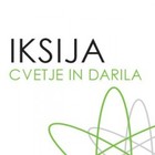 iksija, cvetje in darila, anita merkač, s